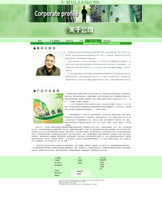 網(wǎng)頁設計模板 高效構(gòu)建專業(yè)網(wǎng)站的關鍵