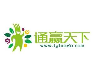 通贏天下 天津網絡科技領域的創新先鋒與未來展望
